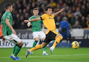 video Highlight : Wolverhampton 2 - 2 Newcastle (Ngoại hạng Anh)